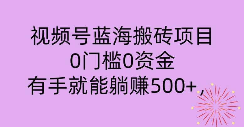 视频号蓝海搬砖项目，0门槛0资金，小白轻松上手，一天30分钟日入500+，堪比捡钱-9527素材资源站