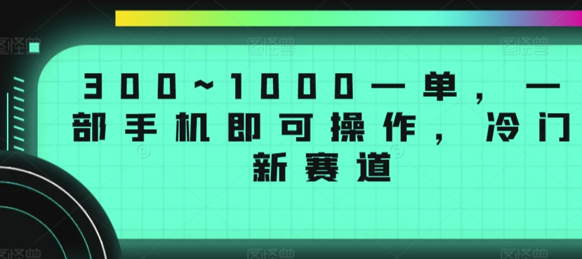 300~1000一单，一部手机即可操作，冷门新赛道-9527素材资源站