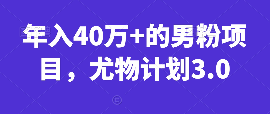 年入40万+的男粉项目，尤物计划3.0-9527素材资源站