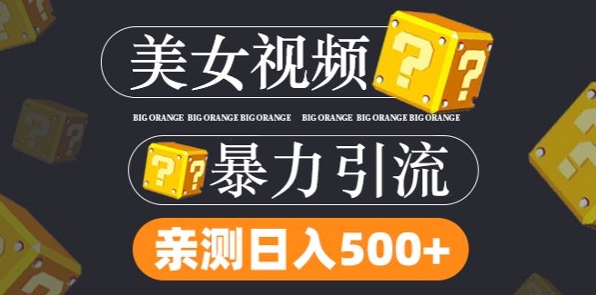 搬运tk美女视频全网分发，日引s粉300+，轻松变现，不限流量不封号【揭秘】-9527素材资源站