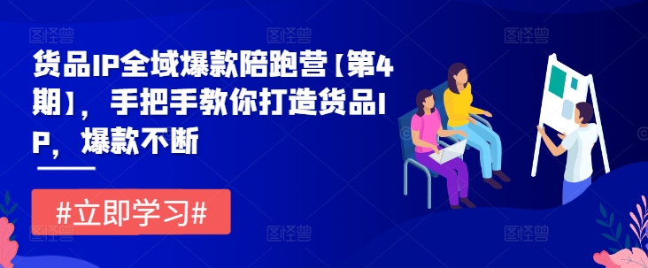 货品IP全域爆款陪跑营【第4期】，手把手教你打造货品IP，爆款不断-9527素材资源站