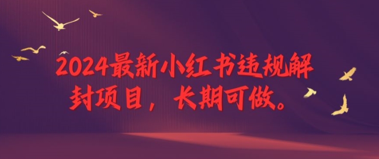 2024全新小红书违规解除限制新项目，长期性能做，一个能做到退休新项目【揭密】-9527素材资源站