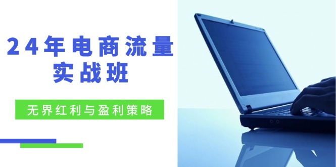 （12168期）24年电商流量实战班：无界 红利与盈利策略，终极提升/关键词优化/精准…-9527素材资源站