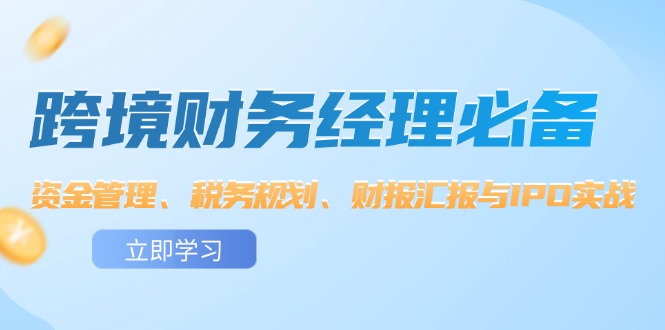 （12323期）跨境 财务经理必备：资金管理、税务规划、财报汇报与IPO实战-9527素材资源站