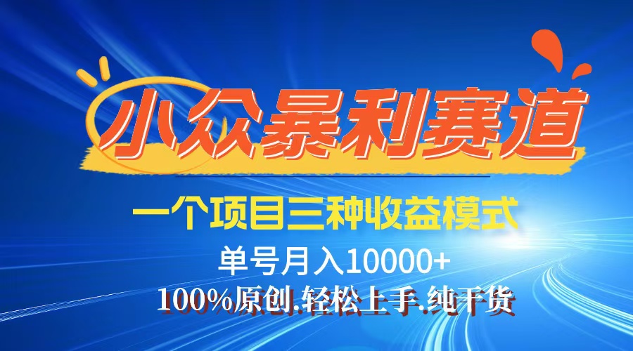 （12579期）【老人言】-视频号爆火赛道，三种变现方式，0粉新号调调爆款-9527素材资源站