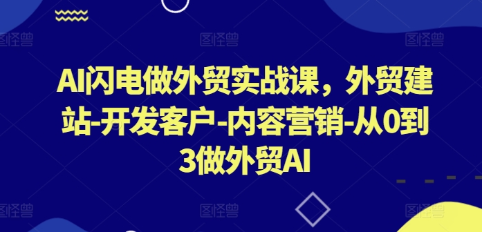 AI闪电做外贸实战课，​外贸建站-开发客户-内容营销-从0到3做外贸AI（更新）-9527素材资源站