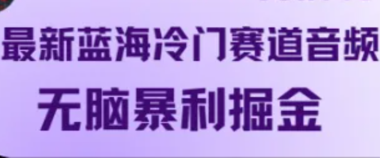 最新蓝海冷门赛道音频，无脑暴利掘金-9527素材资源站