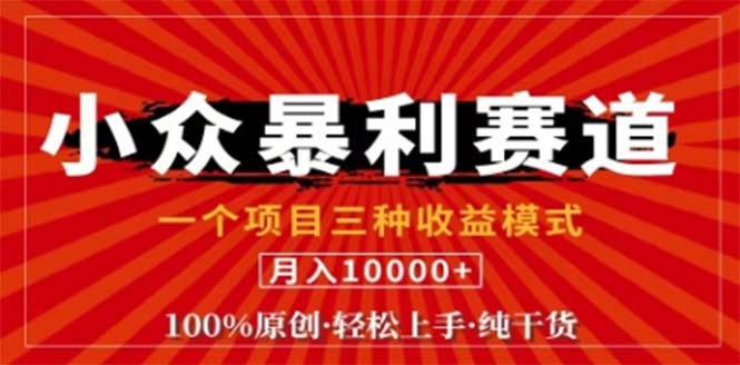 （12756期）视频号最新爆火赛道，三种可收益模式，0粉新号条条原创条条热门 日入1000+-9527素材资源站