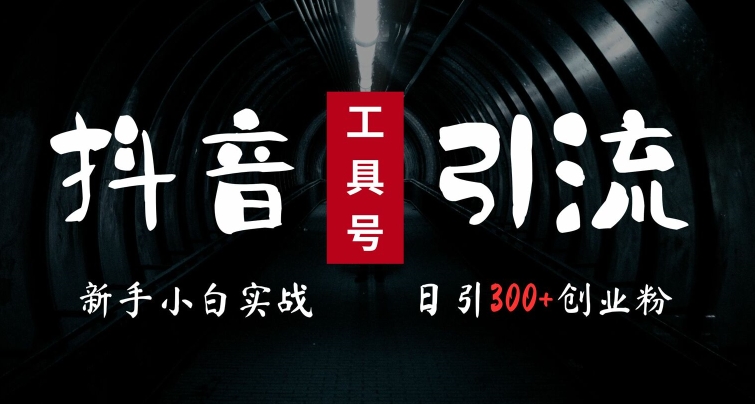 2024最新抖音工具号引流玩法，高效日引300+创业粉，当天变现5k，小白也可成为实战高手-9527素材资源站