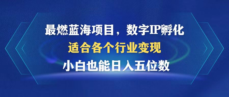 （12941期）超燃蓝海项目  数据IP卵化  适合各个领域转现  新手也可以日入5个数-9527素材资源站