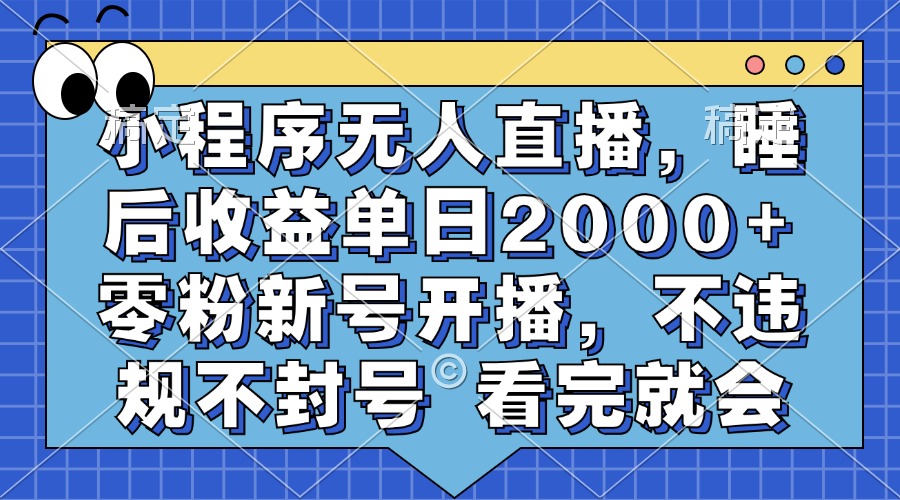 （13251期）小程序无人直播，睡后收益单日2000+ 零粉新号开播，不违规不封号 看完就会-9527素材资源站