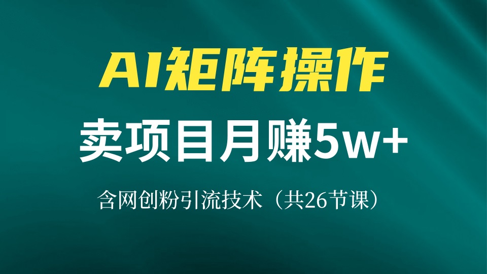 （13335期）网创IP打造出课，依靠AI卖项目月赚5万 ，含引流技术（共26堂课）-9527素材资源站