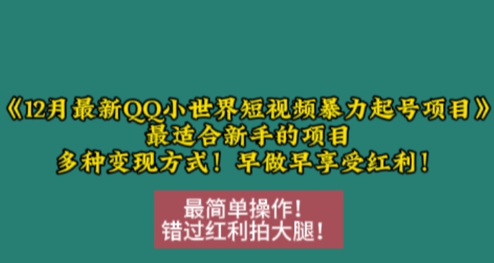 12月最新QQ小世界短视频暴力起号项目，最适合新手的项目，多种变现方式-9527素材资源站