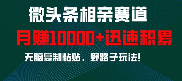 微头条相亲赛道，迅速积累，无脑复制粘贴，野路子玩法，月入1w-9527素材资源站
