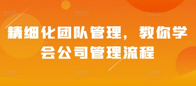 精细化团队管理，教你学会公司管理流程-9527素材资源站