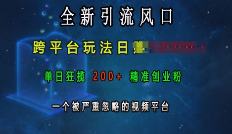 全新引流风口，跨平台玩法日入上k，单日狂揽200+精准创业粉，一个被严重忽略的视频平台-9527素材资源站