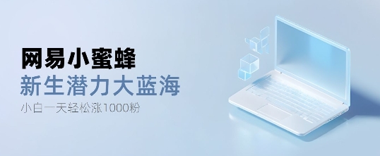 网易小蜜蜂，最新大蓝海项目，单日轻松日涨千粉-9527素材资源站