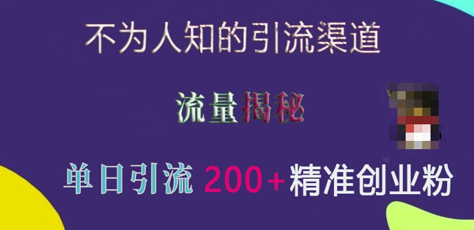 不为人知的引流渠道，流量揭秘，实测单日引流200+精准创业粉【揭秘】-9527素材资源站