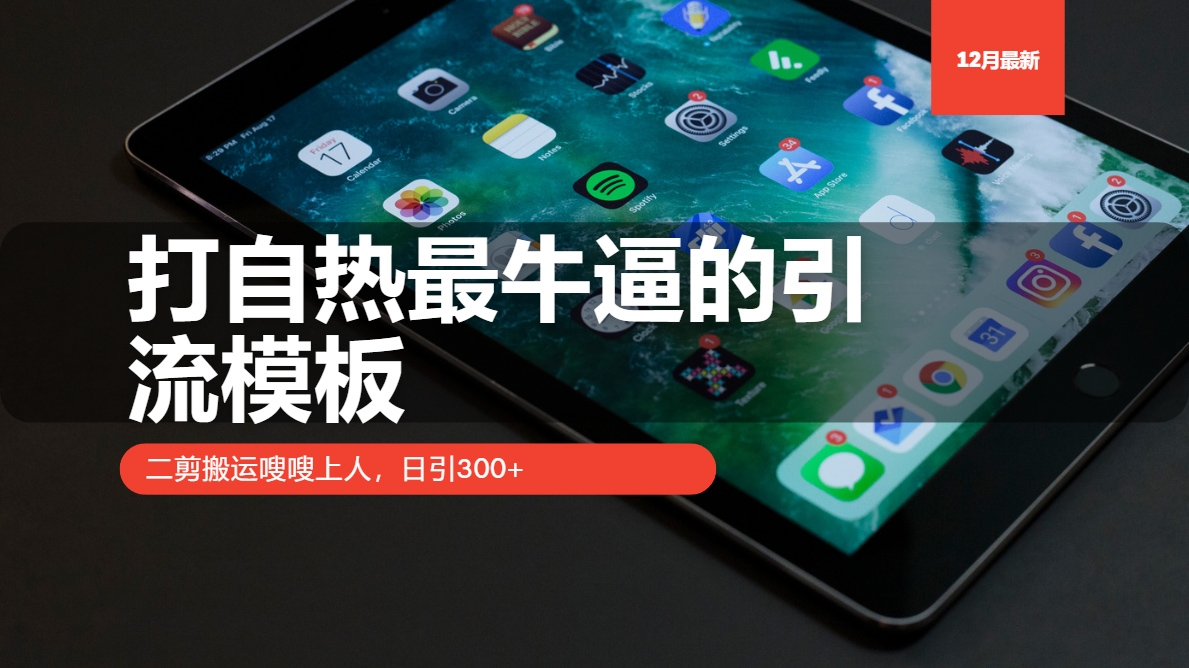 （13654期）打自热最牛逼的引流模板，二剪搬运嗖嗖上人，日引300+-9527素材资源站