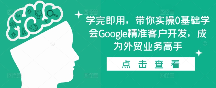 学完即用，带你实操0基础学会Google精准客户开发，成为外贸业务高手-9527素材资源站