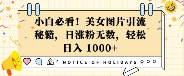 小白必看，美女图片引流秘籍，日涨粉无数，轻松日入几张【揭秘】-9527素材资源站