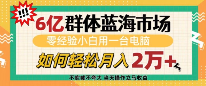 6亿群体蓝海市场，零经验小白用一台电脑，如何轻松月入过w【揭秘】-9527素材资源站