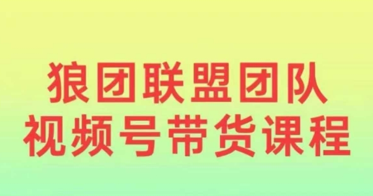 狼团联盟2024视频号带货，0基础小白快速入局视频号-9527素材资源站