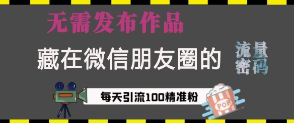 藏在微信朋友圈的流量密码，无需发布作品，单日引流100+精准创业粉【揭秘】-9527素材资源站