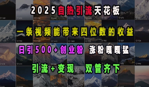 2025自热引流天花板，一条视频能带来四位数的收益，引流+变现双管齐下，日引500+创业粉，涨粉嘎嘎猛-9527素材资源站
