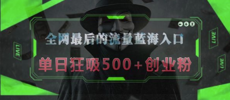 全网最后的流量蓝海入口，半小时引流50+创业粉，单日狂吸500+创业粉-9527素材资源站