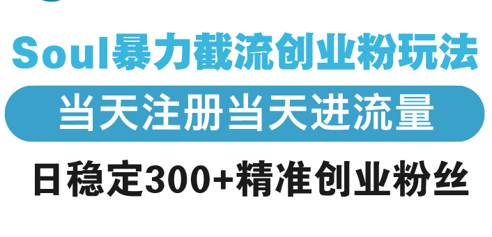 （13935期）Soul暴力截流创业粉玩法，当天注册当天进流量，日稳定300+精准创业粉丝-9527素材资源站