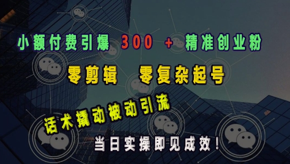 小额付费引爆 300 + 精准创业粉，零剪辑、零复杂起号，话术撬动被动引流，当日实操即见成效-9527素材资源站