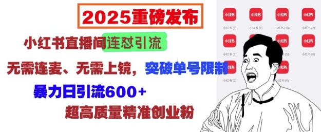 2025重磅发布：小红书直播间连怼引流，无需连麦、无需上镜，突破单号限制，暴力日引流600+-9527素材资源站
