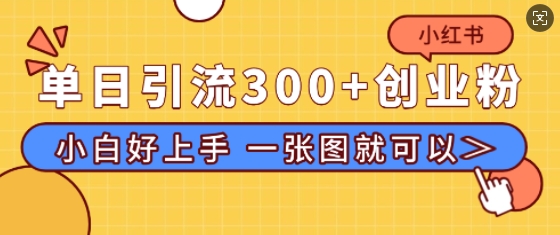 小红书单日引流300+创业粉，“简单粗暴”引流法，小白好上手，私信回不完-9527素材资源站