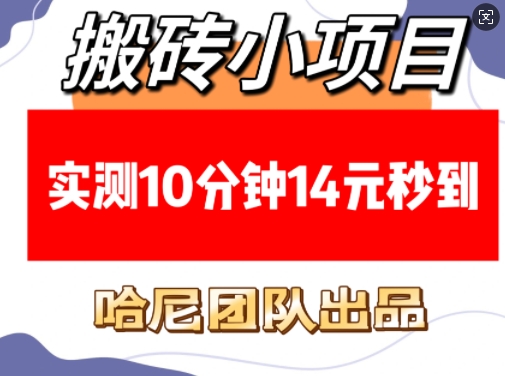 搬砖小项目，实测10分钟14元秒到，每天稳定几张(赠送必看稳定)-9527素材资源站