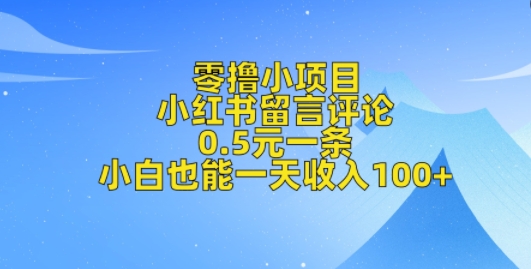 零撸小项目，小红书留言评论，0.5元一条，小白也能一天收入100+-9527素材资源站