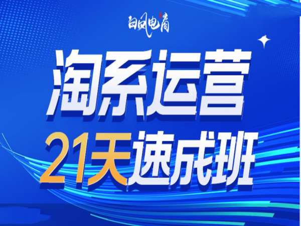 淘系运营21天速成班35期，年前最后一波和2025方向-9527素材资源站