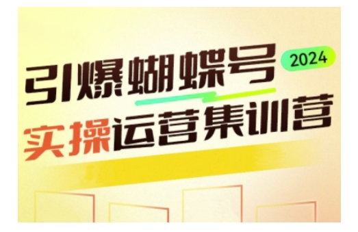 引爆蝴蝶号实操运营，助力你深度掌握蝴蝶号运营，实现高效实操，开启流量变现之路-9527素材资源站