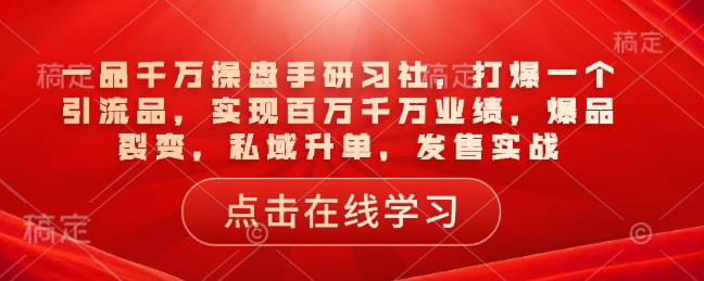 一品一定股票操盘手研习社，打穿一个引流品，完成上百万一定销售业绩，爆款裂变式，公域升单，开售实战演练-9527素材资源站