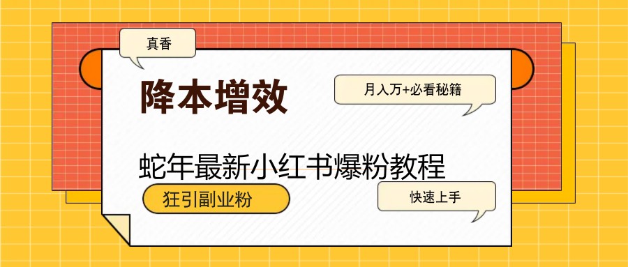 蛇年全新小红书的涨粉实例教程，狂引第二职业粉，月入万 必读-9527素材资源站