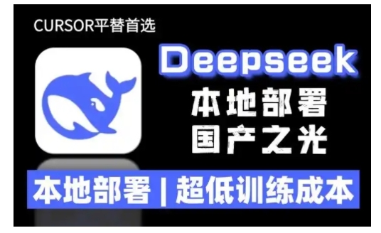 2025年deepseek R1 大型模型当地部署应用(文档 实例教程)本地部署，极低练习成本费-9527素材资源站
