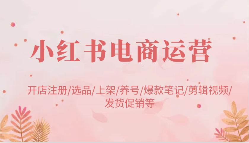 小红书电商经营：开实体店申请注册/选款/发布/起号/爆品手记/视频编辑/安排发货促销等-9527素材资源站