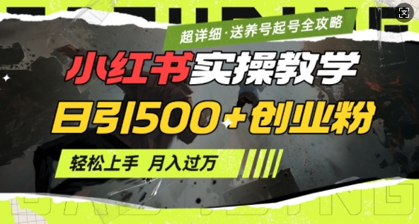 2月小红书最新日引500+创业粉实操教学【超详细】小白轻松上手，月入1W+，附小红书养号起号SOP-9527素材资源站