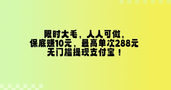 特惠大毛，每个人能做，最低挣10元，最大一次288元，零门槛取现支付宝钱包！-9527素材资源站